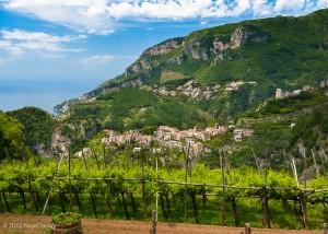 tuscan vineyard in italy - adagio travel