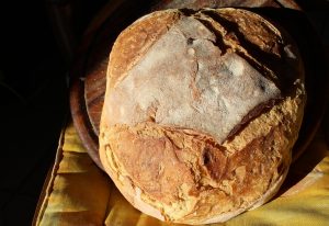 Pane di Altamura; Altamura bread